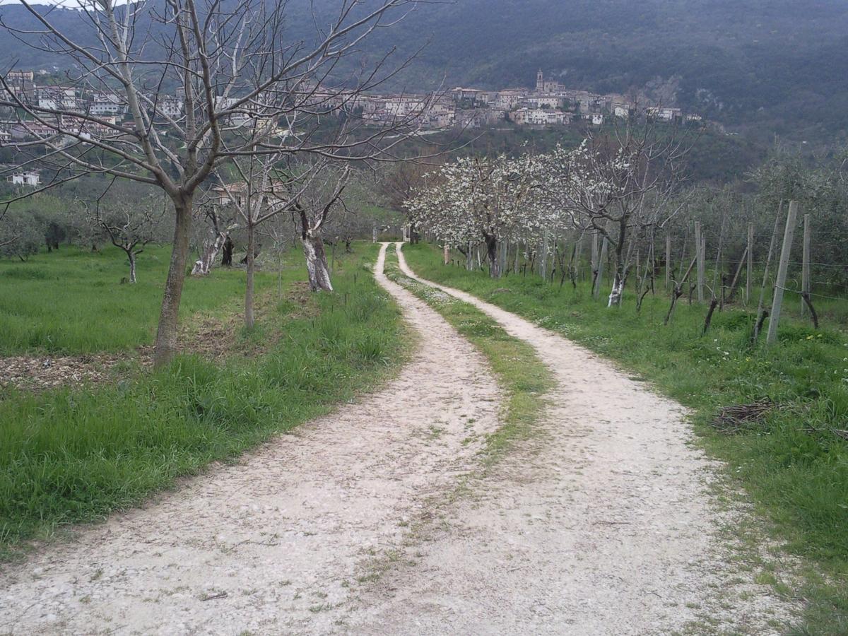 The Country Path B&B Toffia 外观 照片