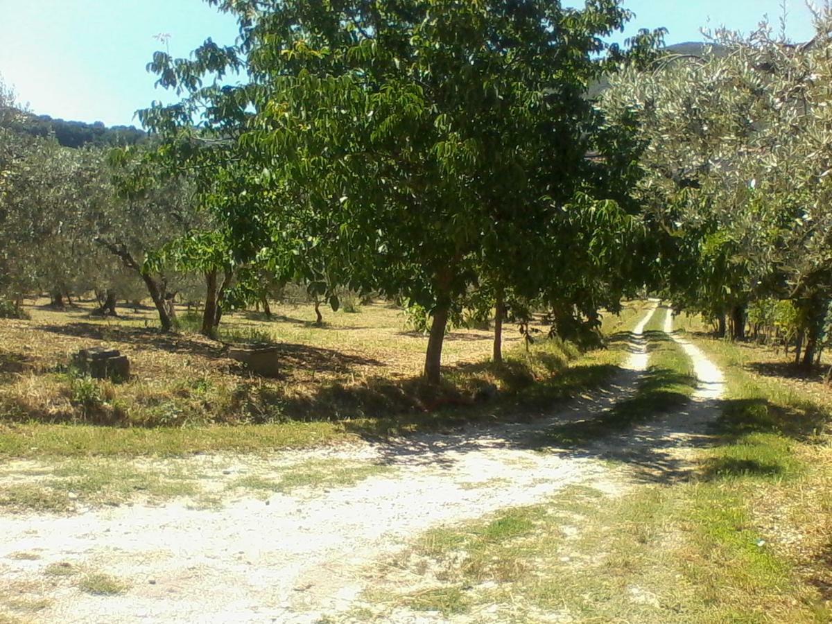 The Country Path B&B Toffia 外观 照片